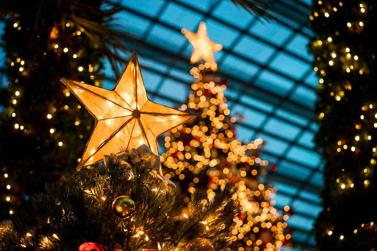 arbre de noel lumineux guirlande étoile éclairage jaune verrière sapin