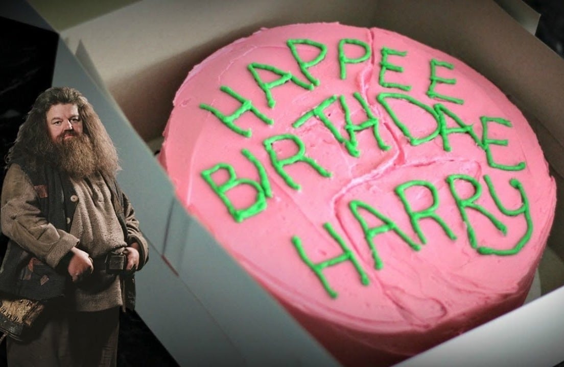 gateau d'anniversaire film harry potter dans sa boite carton de la part de hagrid à l'école des sorciers