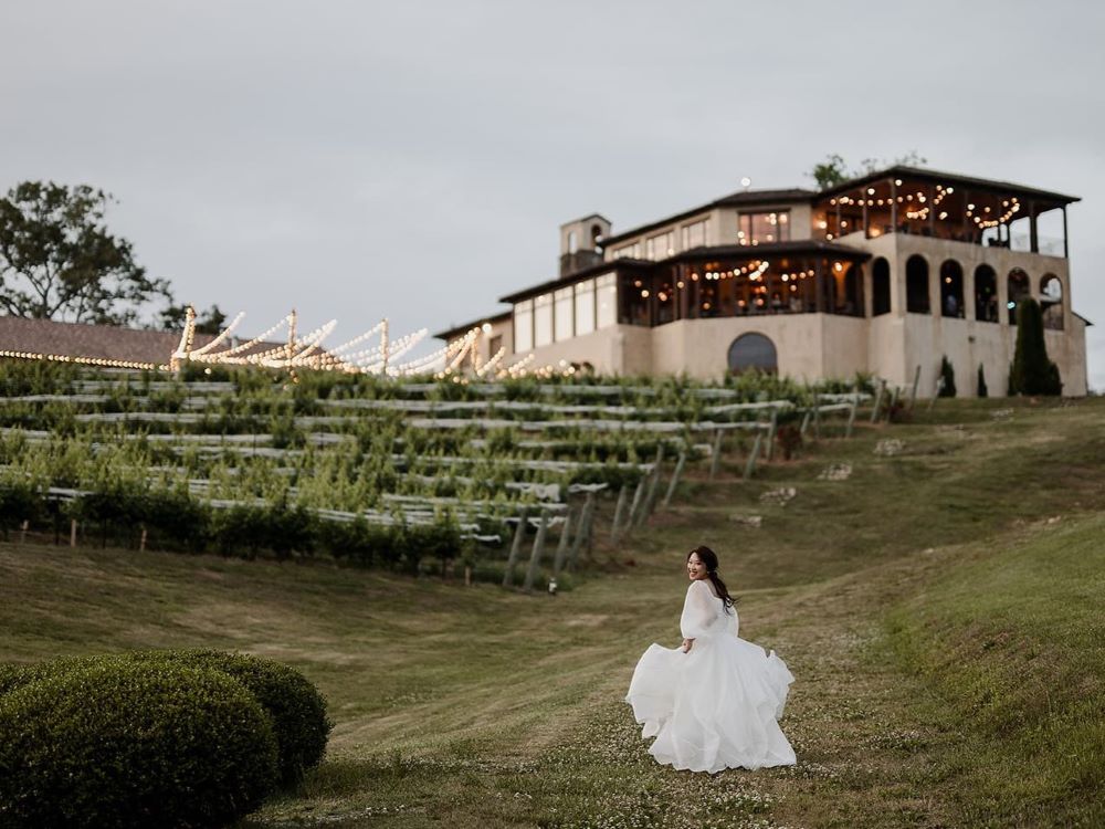 domaine viticole mariée robe blanche colline vigne herbe