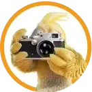 Logo Burddy
